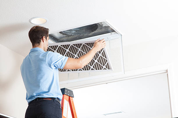 Best HVAC Tune-Up Services  in Flat Rock, MI